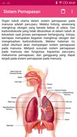 Sistem Pernapasan - Materi dan Latihan SMP 海报