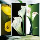 APK LILY FLOWER LIVE WALLPAPER