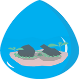 Aquascape : Monitoring and Control