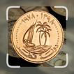 Rare Coin Identifier - Scanner