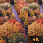 Autumn Wallpaper HD 4K icône