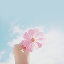 Girly Wallpapers Full HD 2021 APK