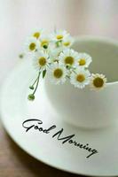 Good Morning & Flowers captura de pantalla 2