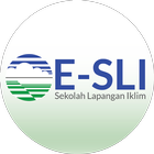 E-SLI BMKG ícone