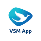 VSM icône