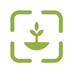 TreeCorder icon