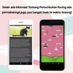 Kucing Item Putih XAPK Herunterladen