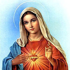 Novena Tiga Salam Maria icône