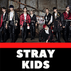 STRAY KIDS Songs icon