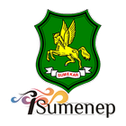 آیکون‌ isumenep