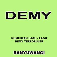 Demy poster
