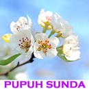 17 Pupuh Sunda APK