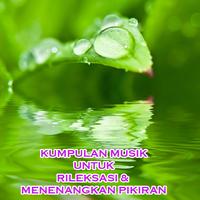برنامه‌نما Musik Relaksasi عکس از صفحه
