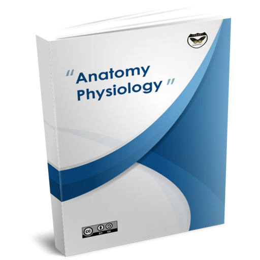 Anatomy and Physiology