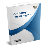 Anatomy and Physiology ícone