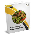 Microbiology and Microorganism ícone