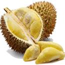 NAMA NAMA BUAH APK
