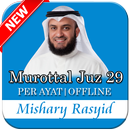 Mishary Rashid Alafasy Juz 29 Every Ayat Offline APK