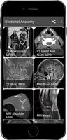 Radiology CT And MRI Anatomy Plakat