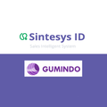 Sintesys Gumindo Motoris
