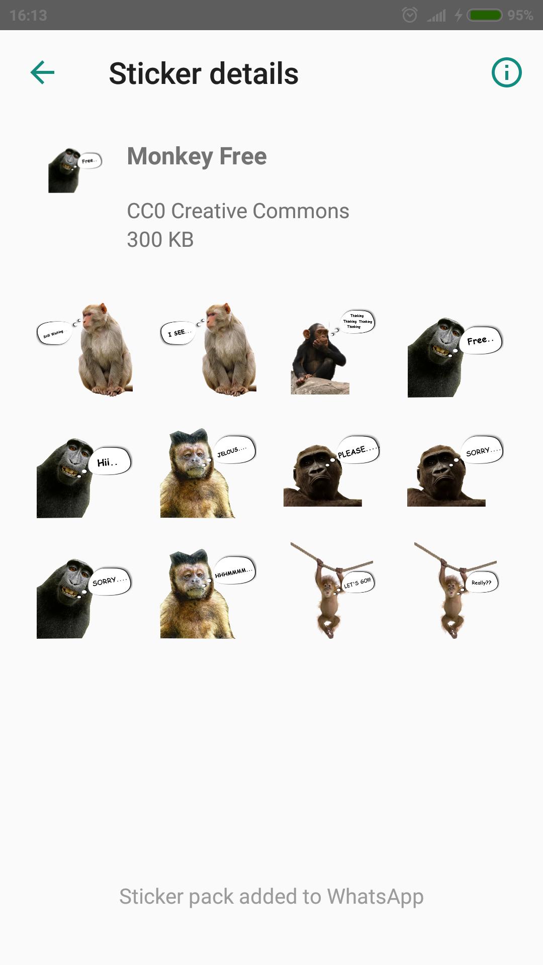 Download 88 Koleksi Gambar Monyet Lucu Jawa Terbaru Gambar Lucu