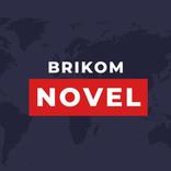 Brikom Novel And Comic