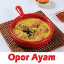 Chicken Opor Seasoning Recipe APK
