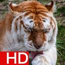 Animal Wallpapers HD Offline APK