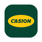 CASION - EV Charging Station Zeichen