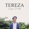 Tereza Fahlevi Offline Cover APK