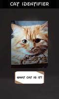 Automatic cat identifier screenshot 3