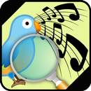 Identificateur chant d'oiseau APK