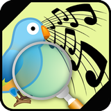 Bird song identifier