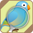 Automatic Bird Identifier APK