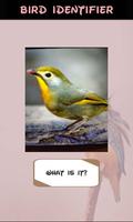 Automatic Bird Identifier screenshot 3