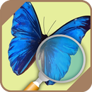 Automatic Butterfly Identifier APK