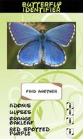 Automatic Butterfly Identifier স্ক্রিনশট 2