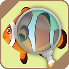 Icona Identificatore di pesce