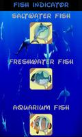 Automatische Fischkennung Plakat