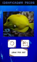 Identificador de Peces captura de pantalla 3