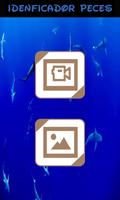 Identificador de Peces captura de pantalla 1