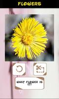 Identifiant automatique fleurs capture d'écran 1