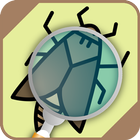 Automatic insect identifier icon