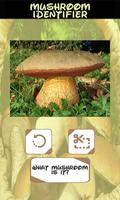 Automatic Mushroom Identifier اسکرین شاٹ 2