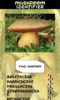 Automatic Mushroom Identifier اسکرین شاٹ 3