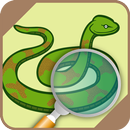 Automatic Snake Identifier APK