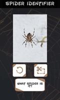 自動蜘蛛識別器 截圖 3