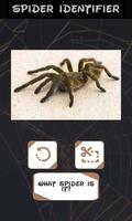 自動蜘蛛識別器 截圖 1