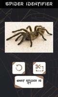 Automatic spider identifier screenshot 1