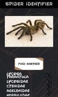 自動蜘蛛識別器 截圖 2